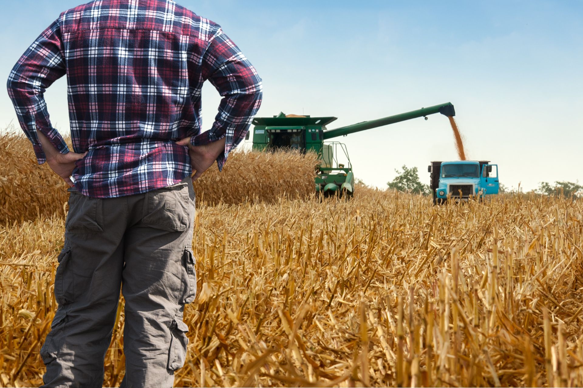 Hope for the Best, Prepare for the Worst: A Harvest Outlook for 2025