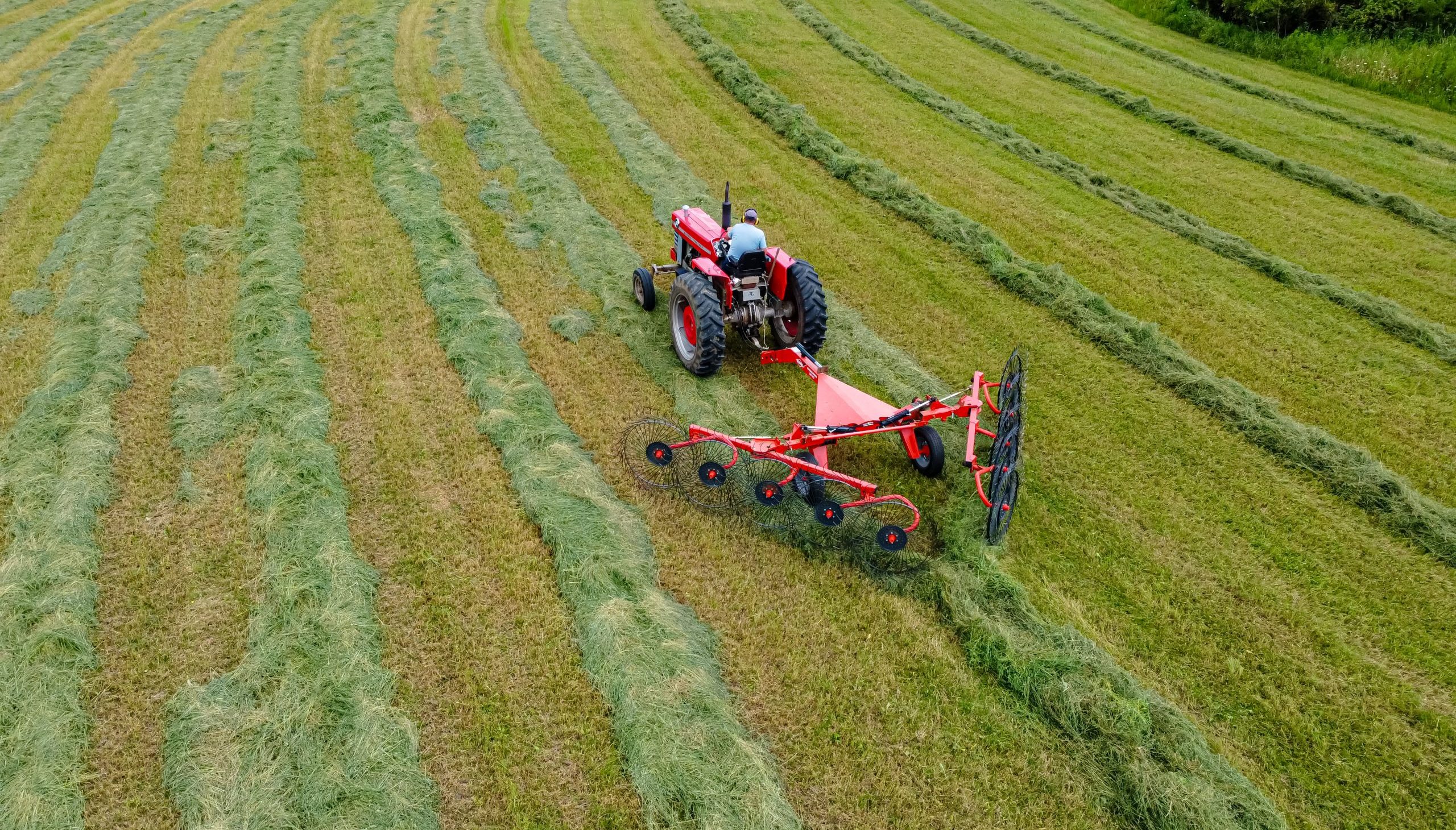 Why Hay Rakes Matter More Than Most Operators Think
