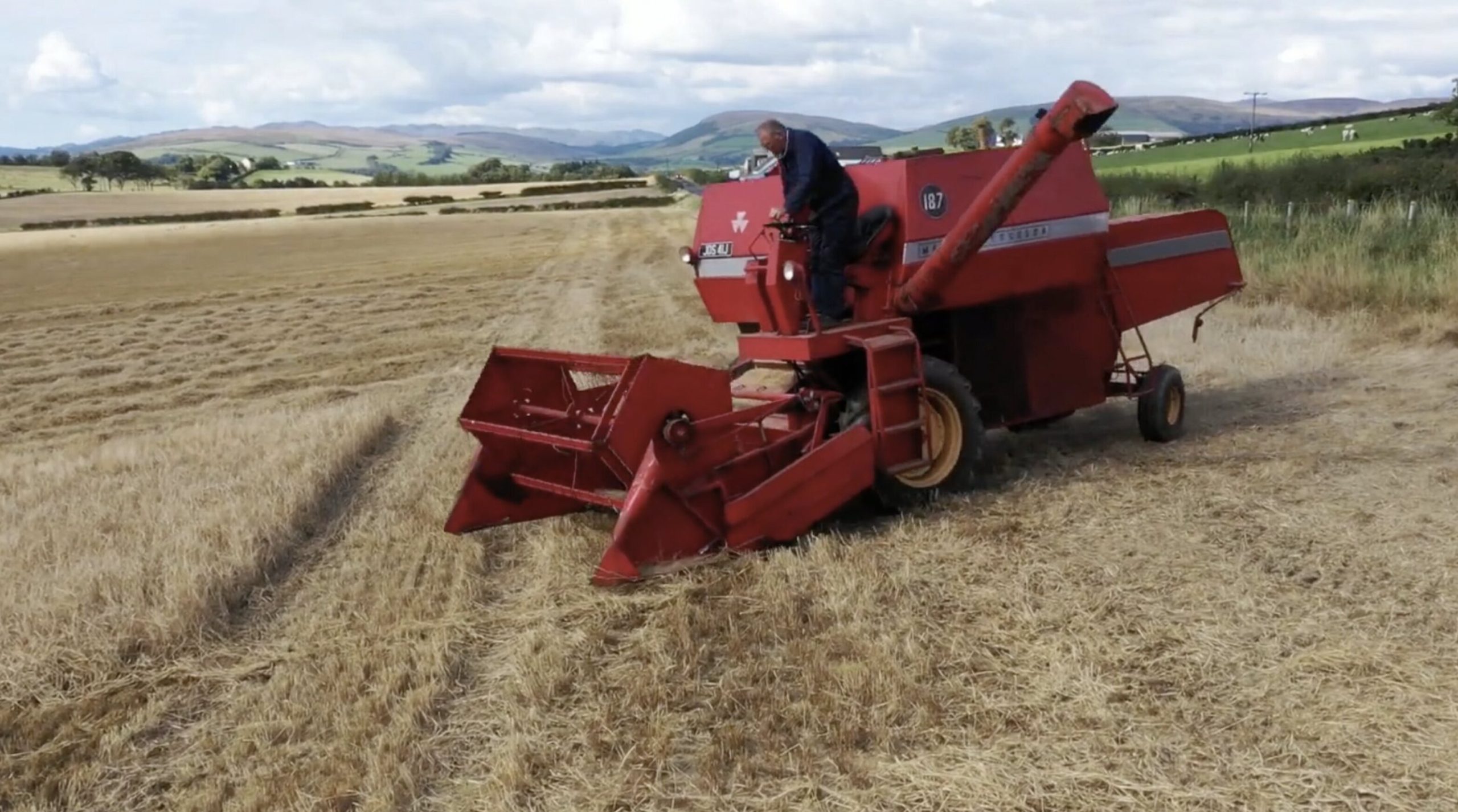 Why These Old Massey Ferguson Combines Refuse to Retire