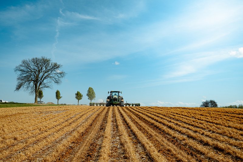 Strip-Till Is Getting Bigger, Smarter and More Competitive